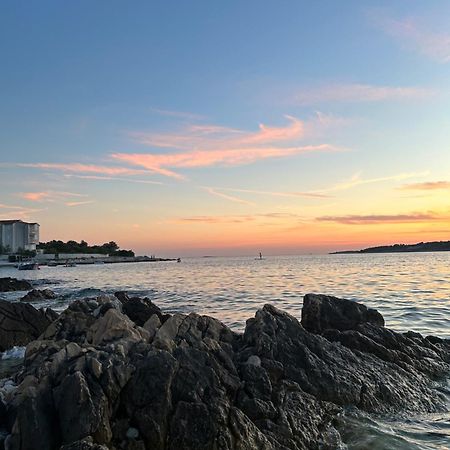 Holiday House Dijana, Kanica ロゴズニッツァ エクステリア 写真